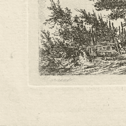 Antique Etching Original Landscape, Trees, Nature, Path 19th century 1852 image 4