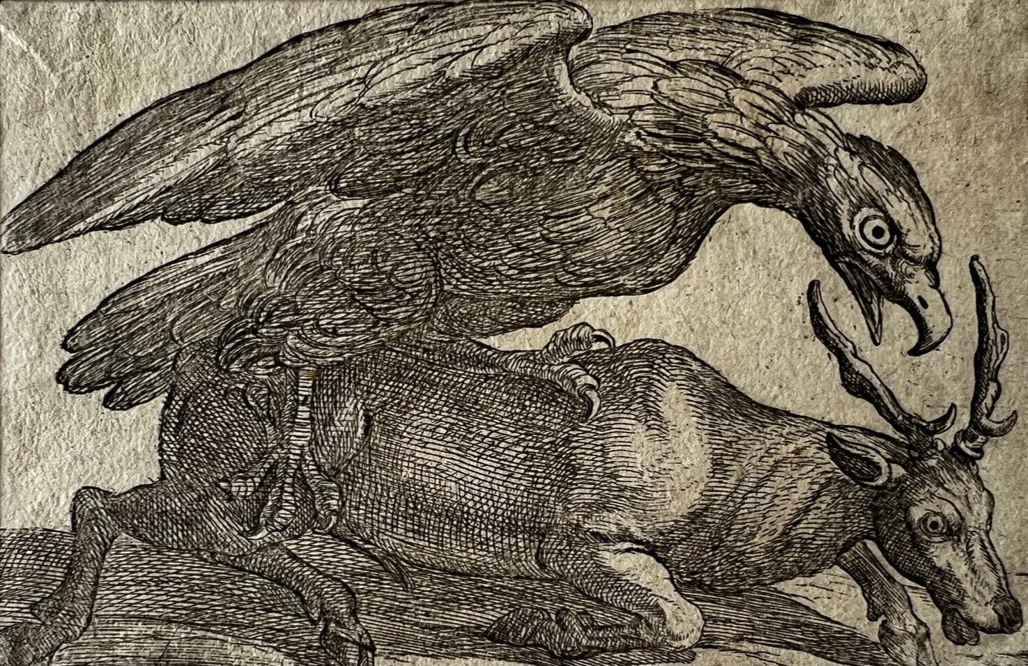 Antique Original Etching 17th century engraving, Eagle and Dear image 1