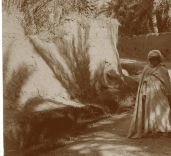 Vintage Photographs Orientalism Algeria, People, Palm Trees image 7