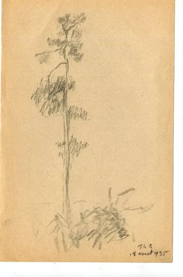 Vintage Pencil Original Drawing Tree, Forest, Landscape signed 1935 image 6