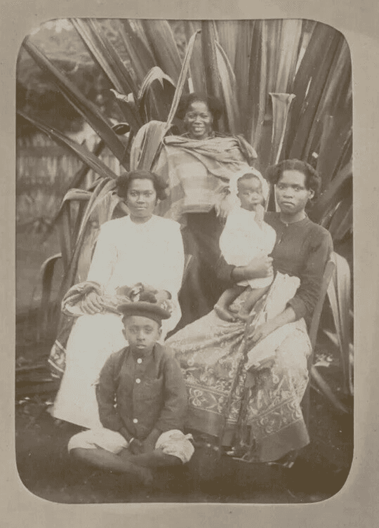 Vintage Photographs Malagasy Family, Madagascar, Albumen c. 1900 image 5