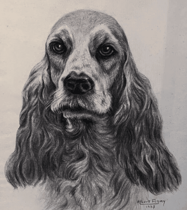 Original Antique Charcoal Drawing Dog Portrait Albert FIGAY (1907-2004) image 1