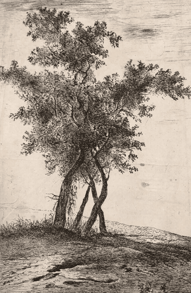 Antique Etching Original Landscape, Tree, People image 3