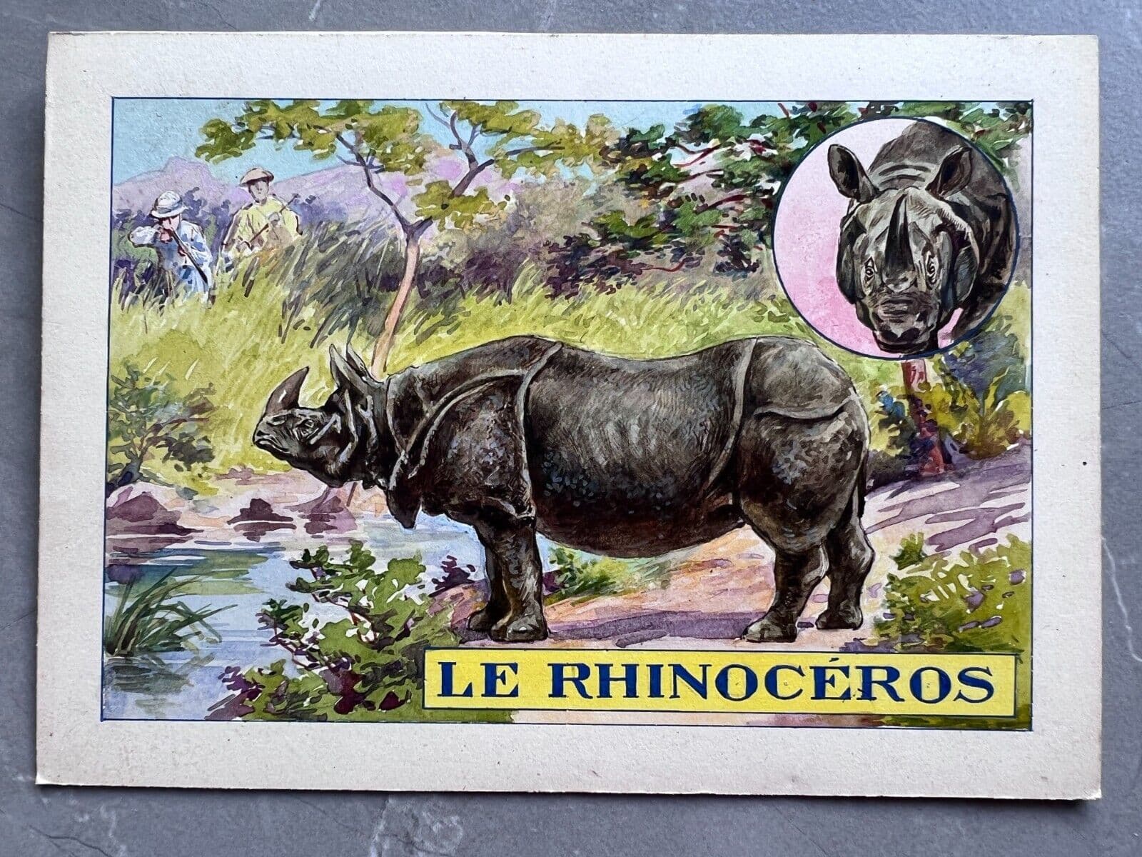Drawing Illustration Rhinoceros image 2