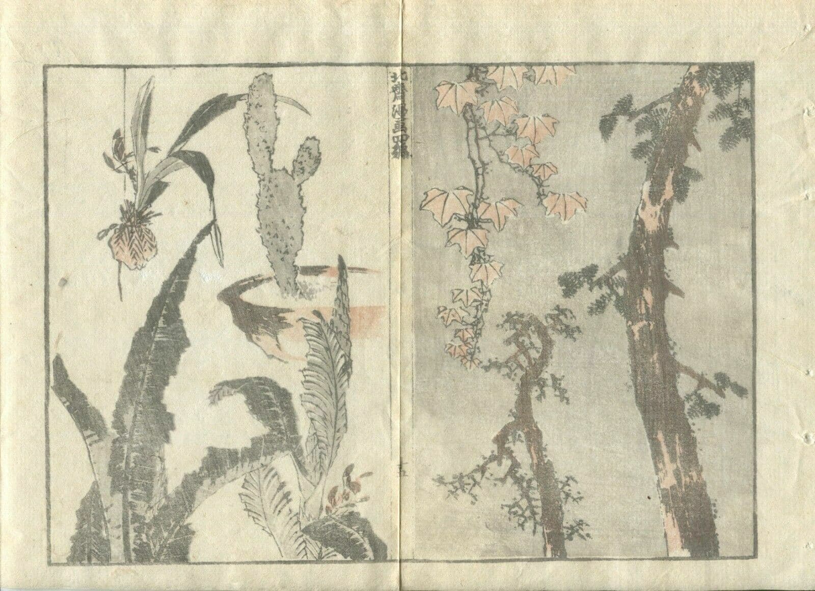 Antique Japanese Woodprint Original Cactus c. 1890 Edo/Meiji 19th century Asian image 2
