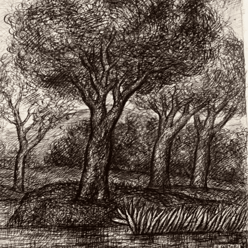 Original Antique Ink Drawing Landscape with Trees Artwork image 4