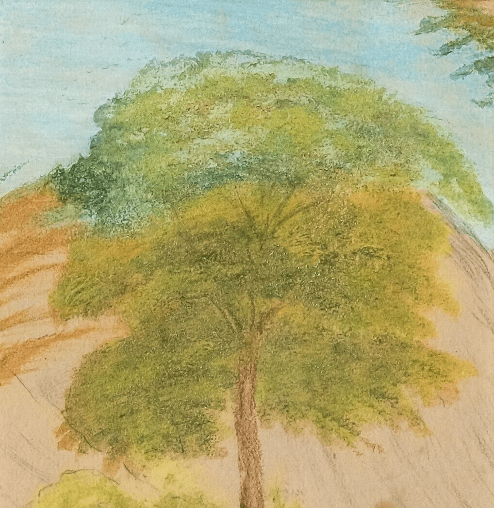 Antique Drawing Original Tree, Meadow, Landscape Artwork image 2