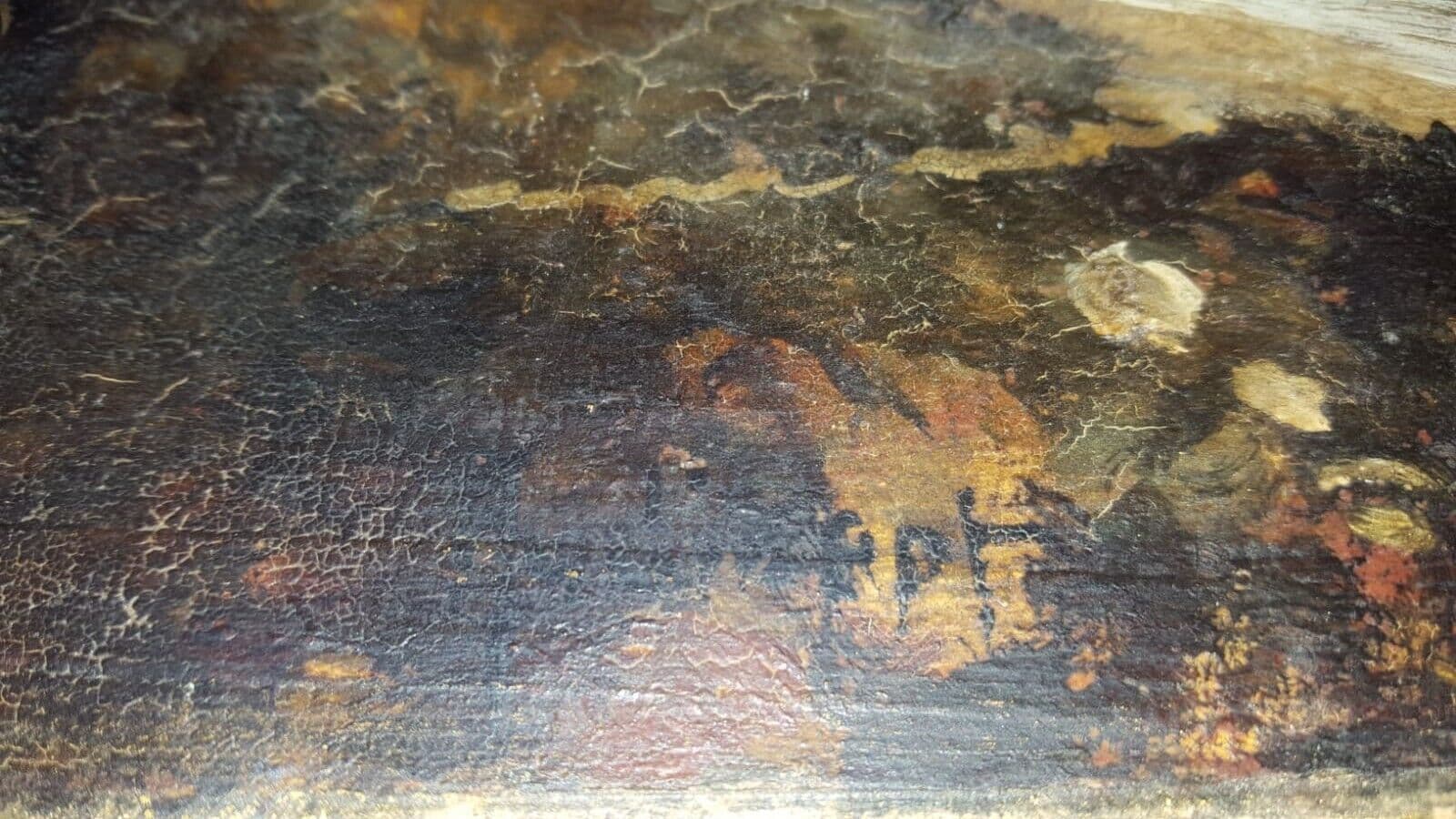 Antique Oil Old Original Painting Signed Landscape by the Sea Artwork image 6