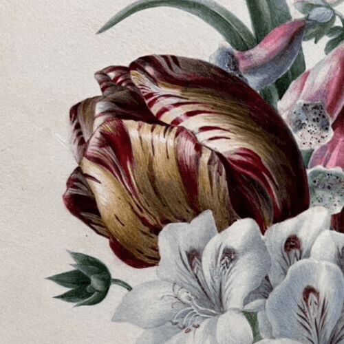 Antique Painting Original Flowers, Floral, Still Life, Butterfly, Tulip image 3