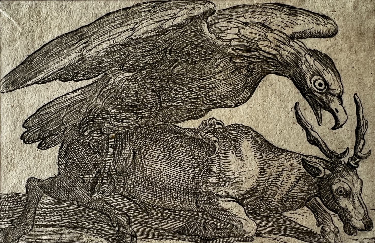 17th century engraving, Eagle and Dear image 1