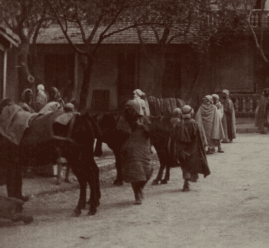 Vintage Photographs Orientalism, Africa, Algeria, People, Landscape image 2
