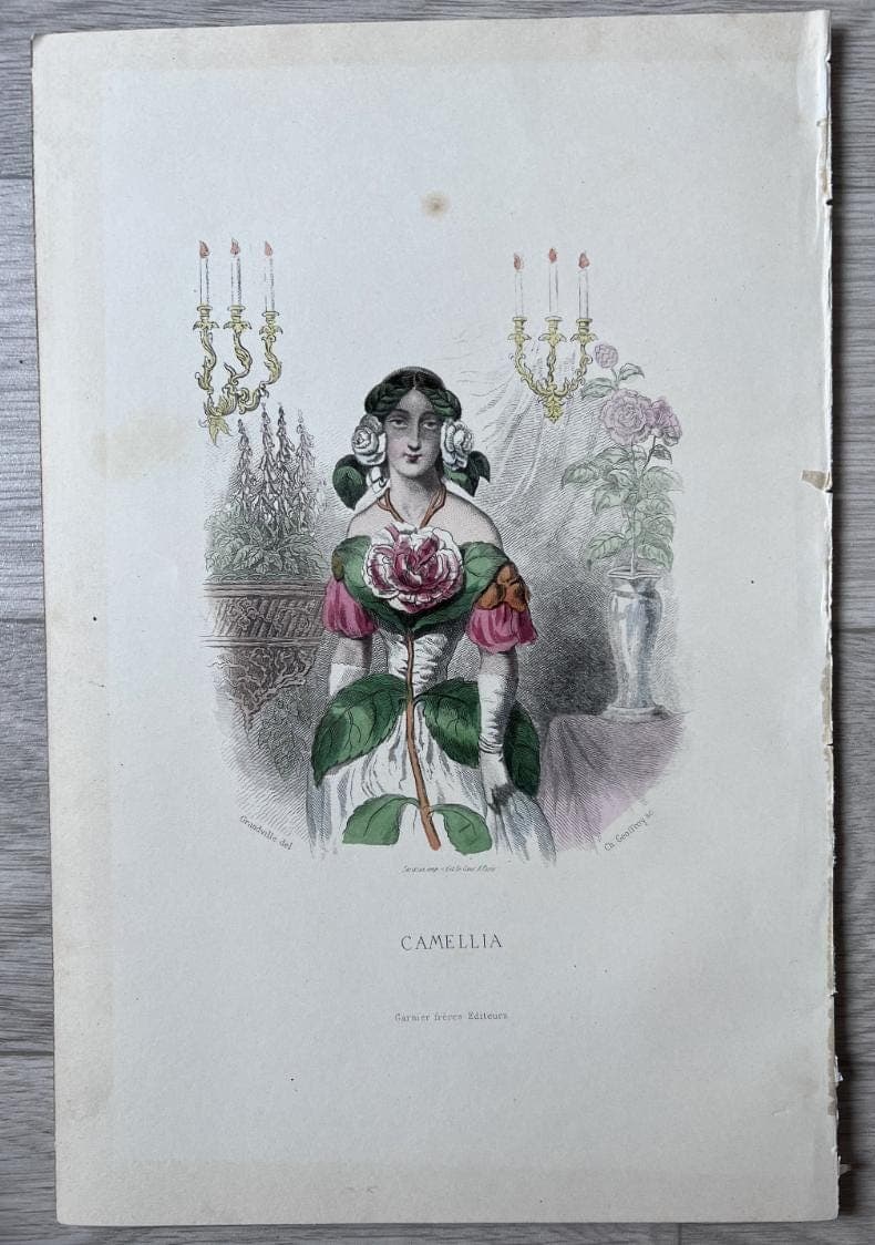 Elegant Floral Personification Camellia by Jean Ignace Isidore GRANDVILLE image 3