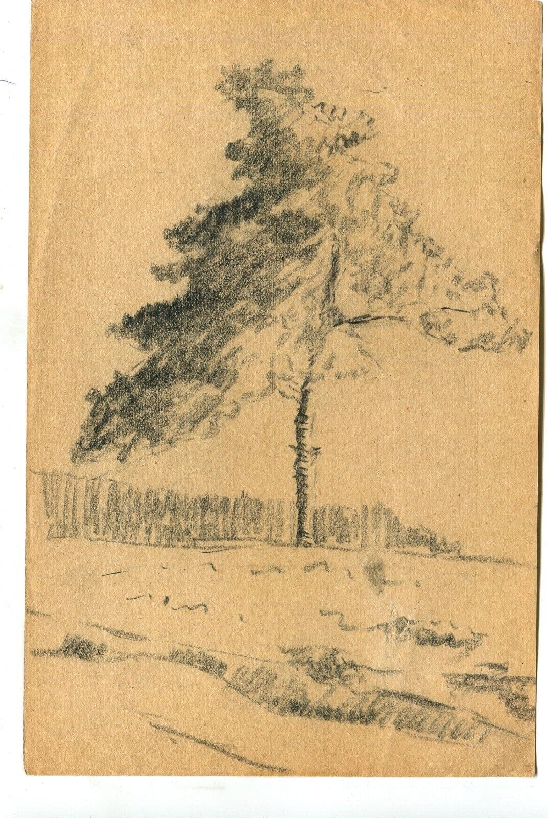 Antique Original Pencil Drawing Tree, Vegetation, Landscape, Leaves c. 1900 image 6