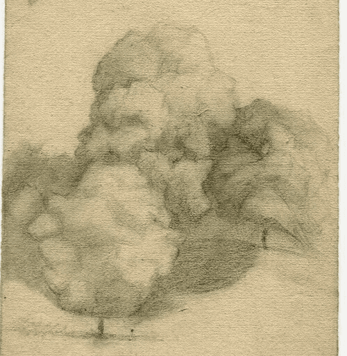 Antique Pencil Drawing 19th century Original Landscape with Trees