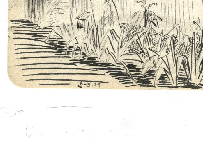 Vintage Ink Original Drawing Garden Landscape, Vegetation image 6