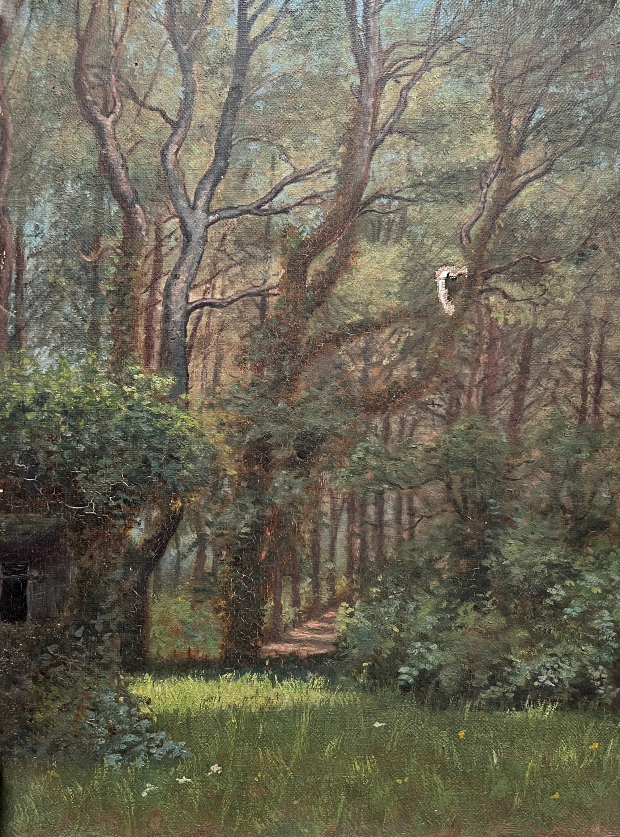 Painting Forest and Trees Landscape image 1