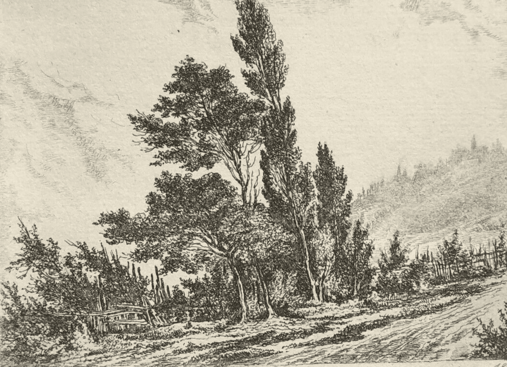 Antique Etching Original Landscape, Trees, Nature, Path 19th century 1852 image 1