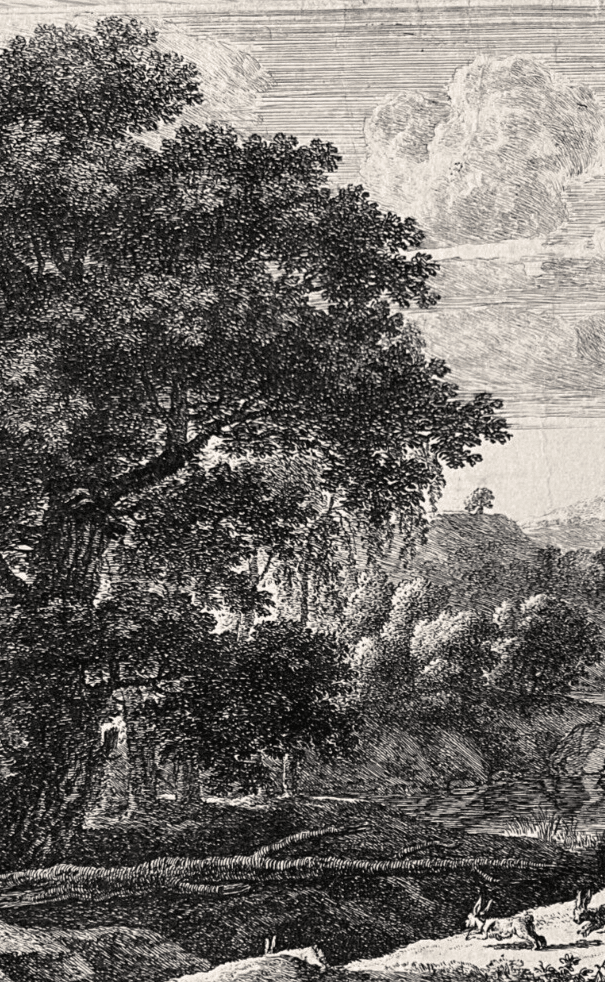 Antique Original Etching Venus Adonis Hunting, Herman Van Swanevelt (1603-1655) image 5