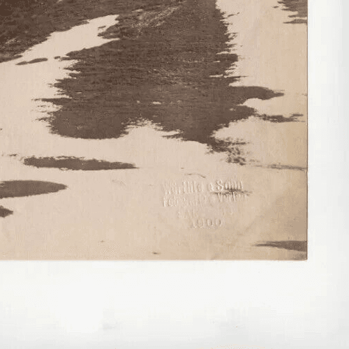 Vintage Photographs Rosszaghe Serisse Alpes, Würthle & Sohn 1900 image 2