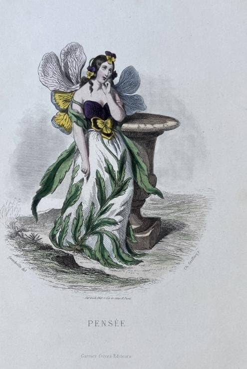 Antique Botanical Costume Illustration "Pensée" Pansy-Inspired Dress 19th image 8