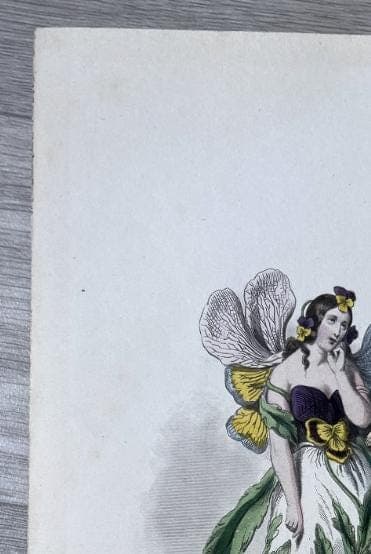 Antique Botanical Costume Illustration "Pensée" Pansy-Inspired Dress 19th image 3