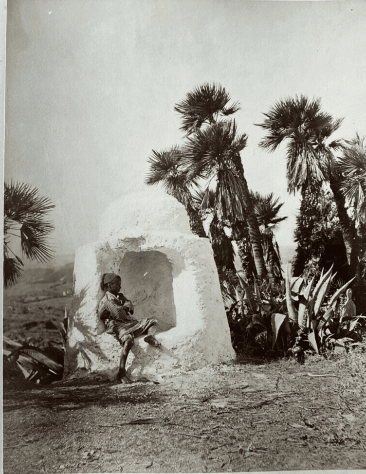 Photographs Albumen, Algeria Young Boy c. 1870 image 1