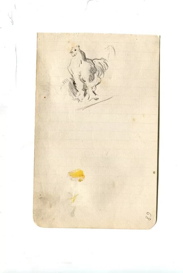 Antique Ink Drawing Original Hen, Animals, Farm image 5
