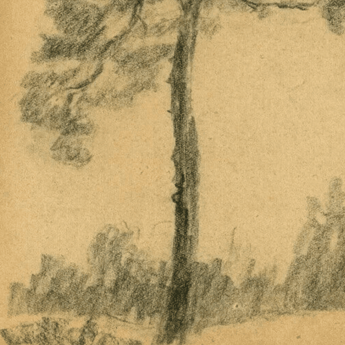 Vintage Pencil Original Drawing Tree, Vegetation, Landscape, Leaves Artwork image 4