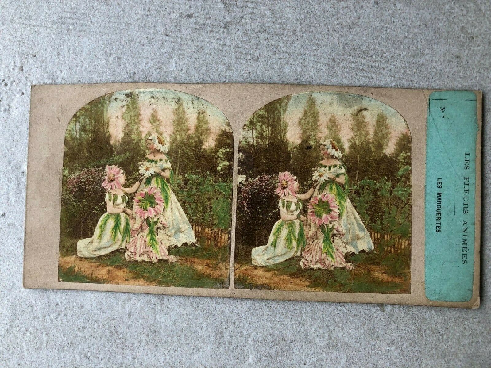 Vintage Stereoview Figures and Flowers, Furne & Tournier, Albumen c.1860 x9 image 5