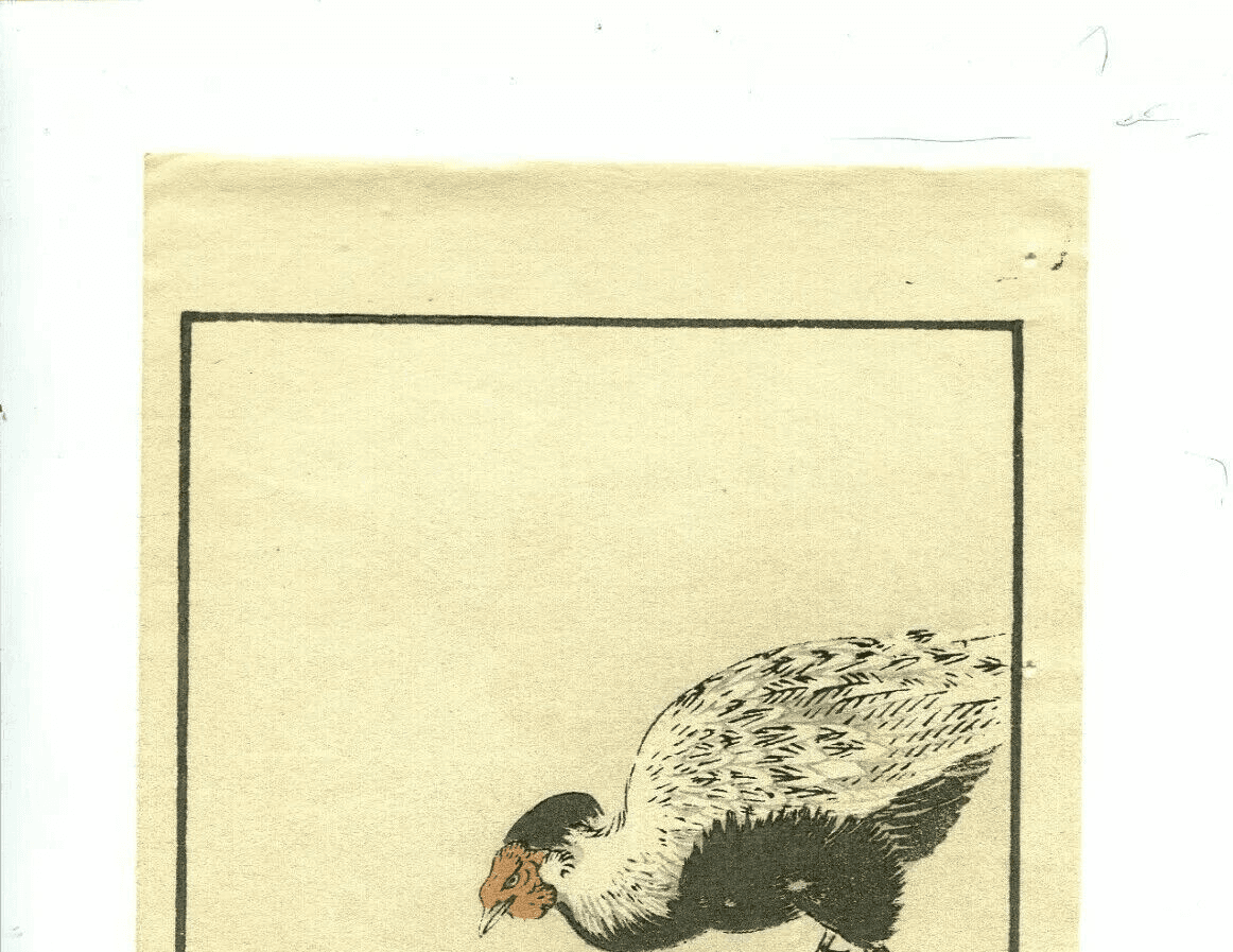 Antique Japanese Floral Woodprint Flowers, Bird, Turkey c. 1890 Art Print Ukiyo image 5