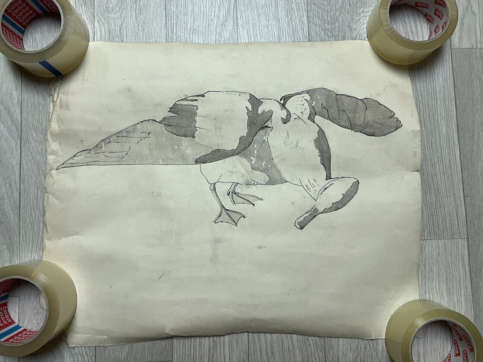 Antique Original Drawing Bird, Duck, Animal, Still Life image 5
