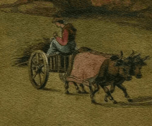 Antique Drawing 19th century Original Farmer with Beefs image 4