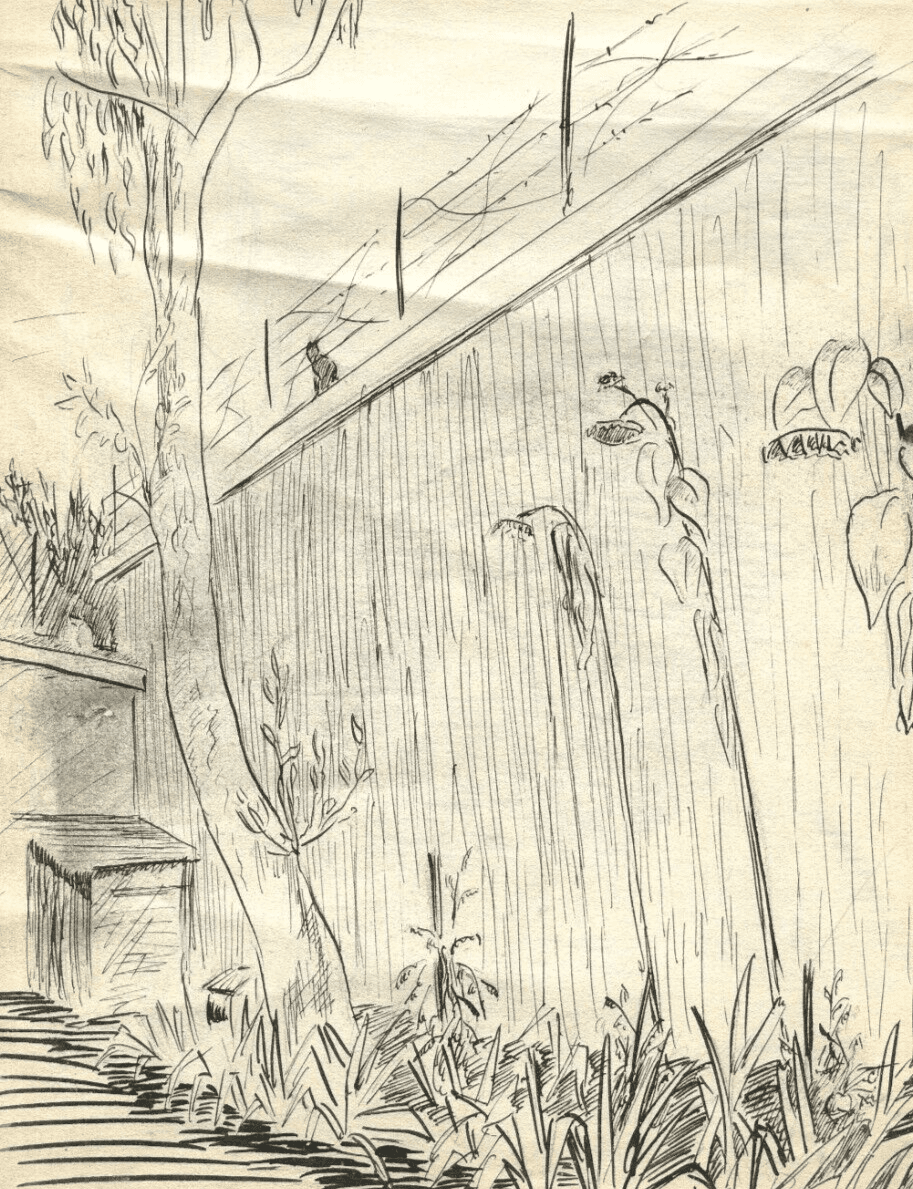 Vintage Ink Original Drawing Garden Landscape, Vegetation image 1