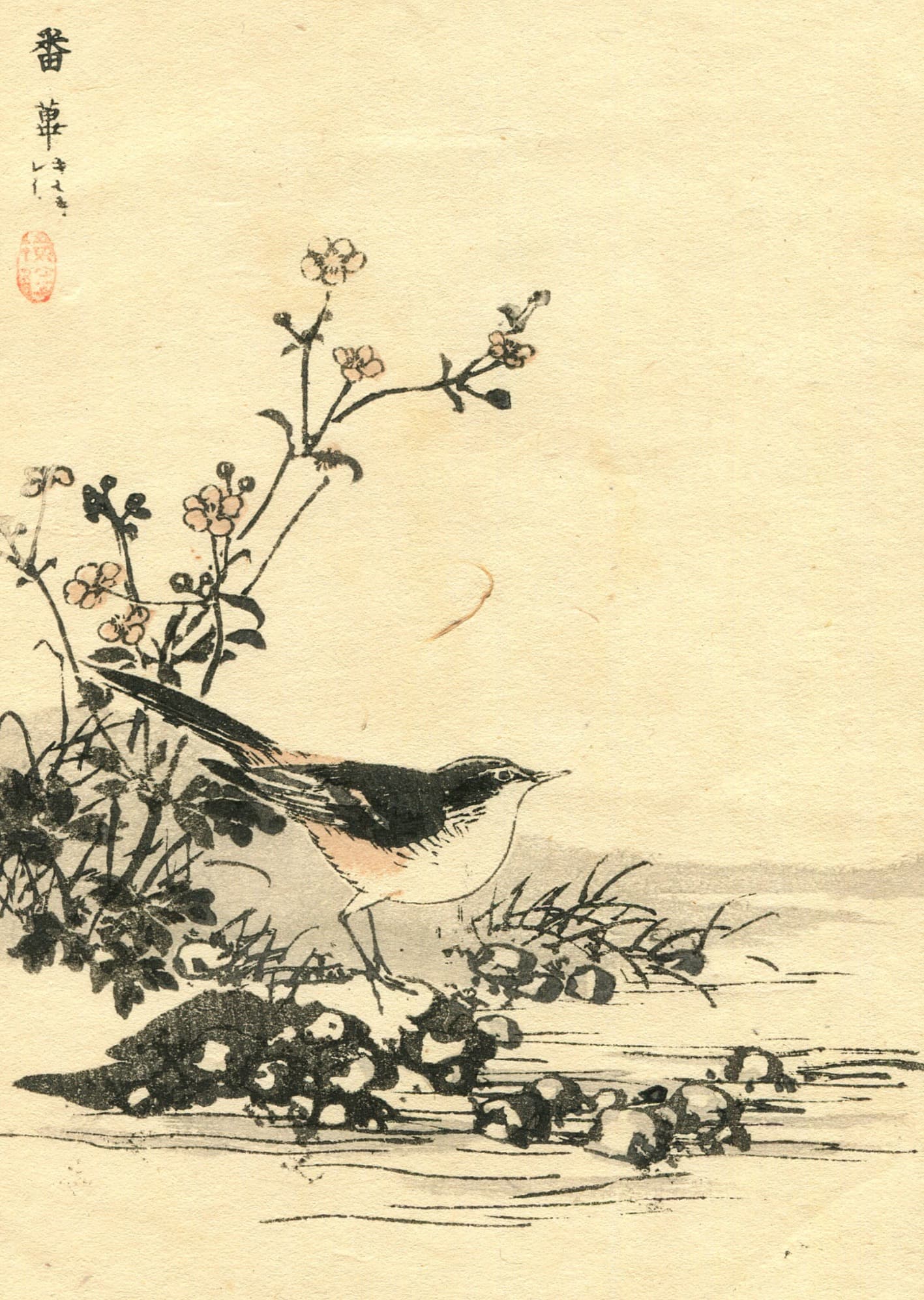 Black-capped Chickadee Ukiyo-e Print c. 1890