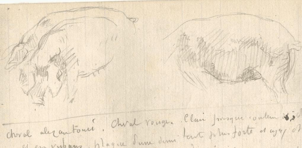 Vintage Pencil Original Drawing Text, Pig, Animals Sketch image 1