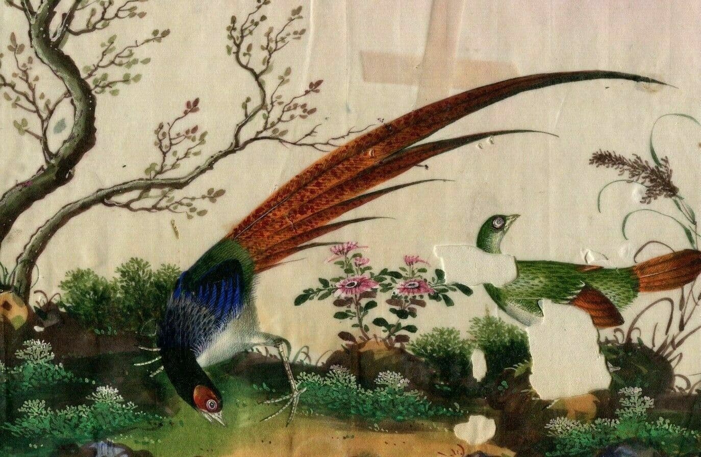 Antique Drawing 19th century Canton Qing Chinese Asia Peacock Asian Artwork image 1