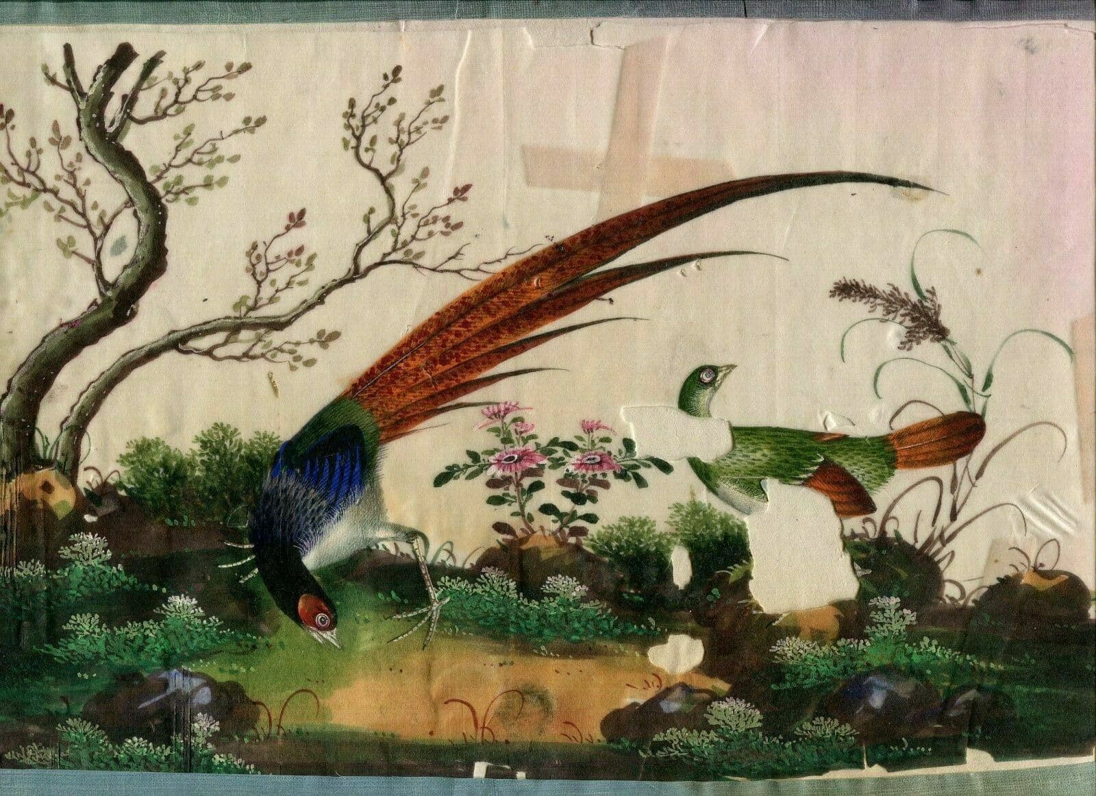 Antique Drawing 19th century Canton Qing Chinese Asia Peacock Asian Artwork image 2