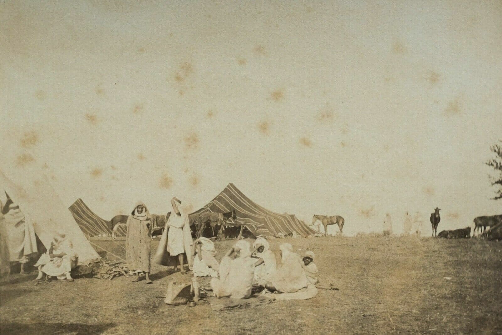 Vintage Photographs Claude Joseph Portier - Café Maure, Albumen, Algeria c. 1870 image 1