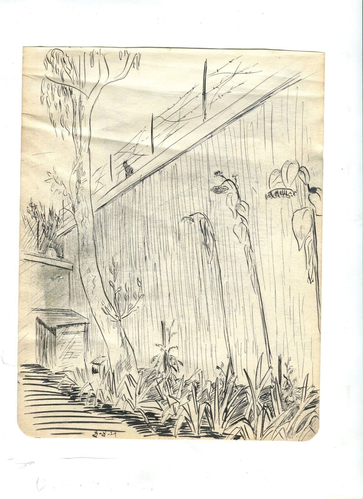 Vintage Ink Original Drawing Garden Landscape, Vegetation image 2