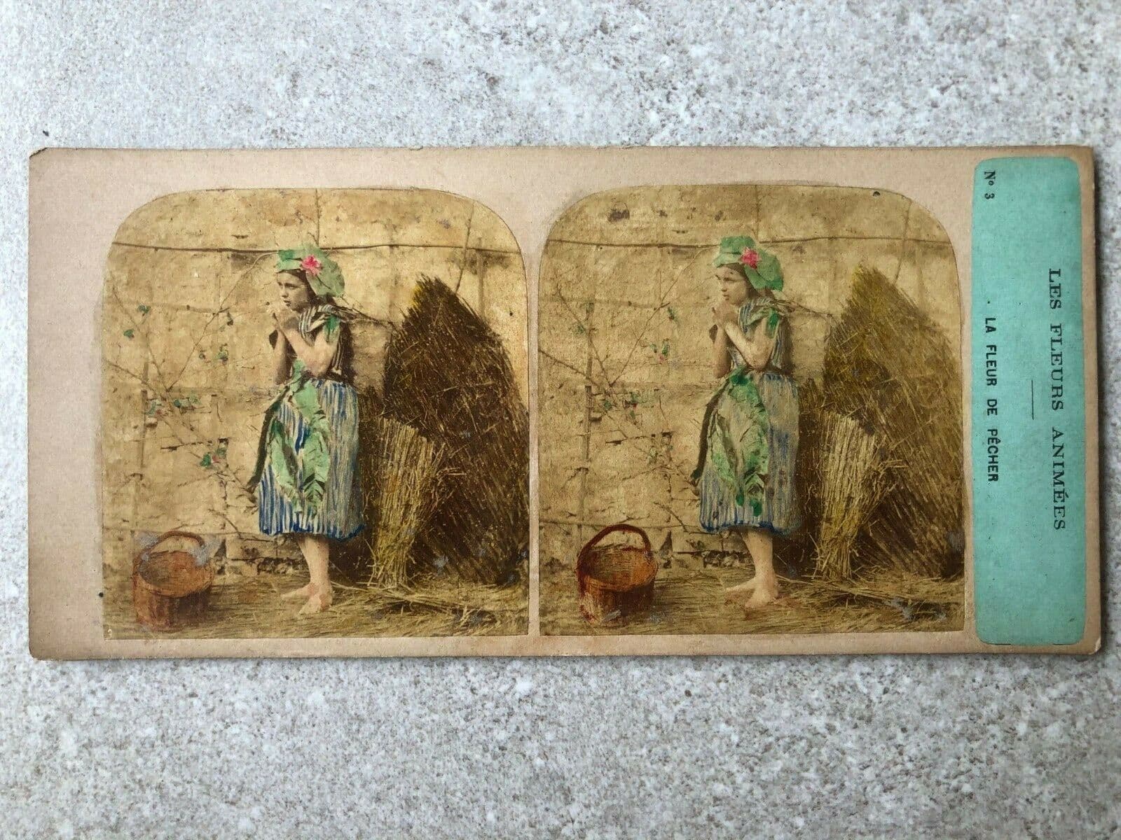 Vintage Stereoview Figures and Flowers, Furne & Tournier, Albumen c.1860 x9 image 3