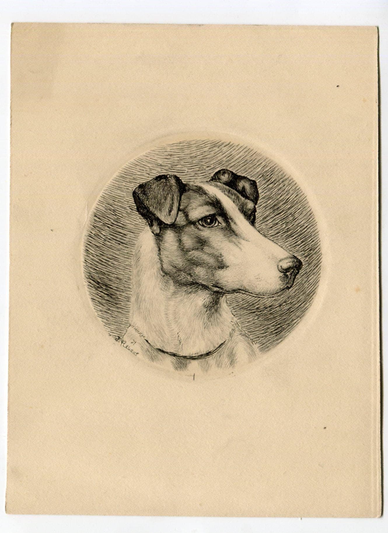 Vintage Etching of a Fox Terrier Art Jacques REBOUR (XX) Dog Portrait