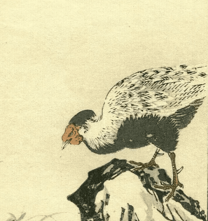 Antique Japanese Floral Woodprint Flowers, Bird, Turkey c. 1890 Art Print Ukiyo image 3