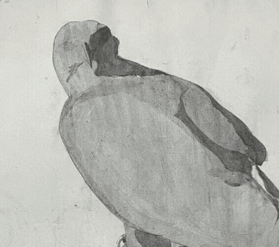 Antique Original Drawing Sculpture, Animal, Bird, Crow image 2