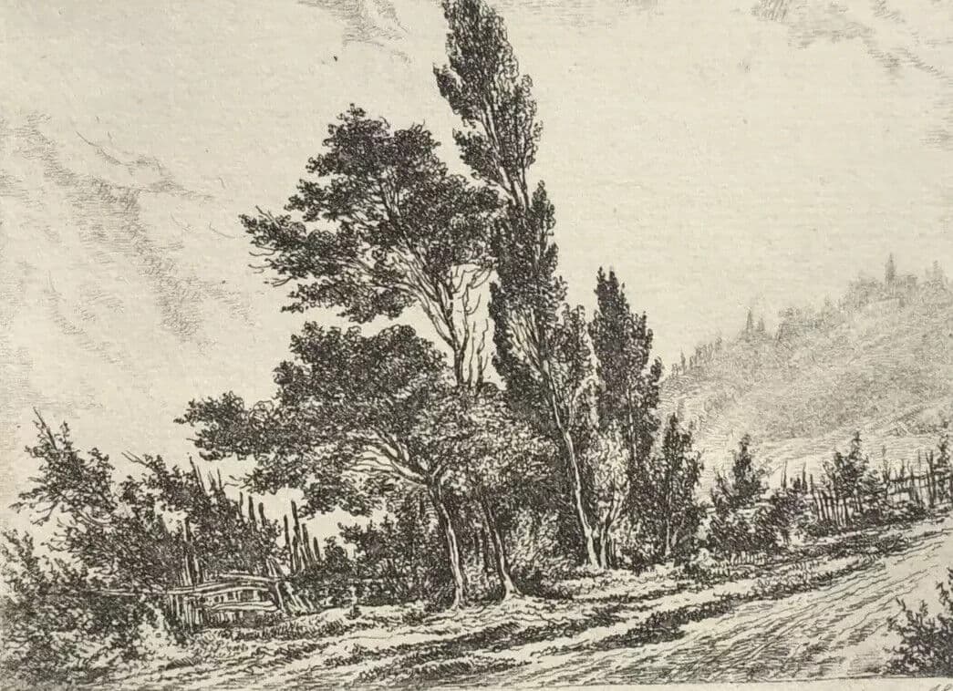 Antique Etching Original Landscape, Trees, Nature, Path 19th century 1852 image 7