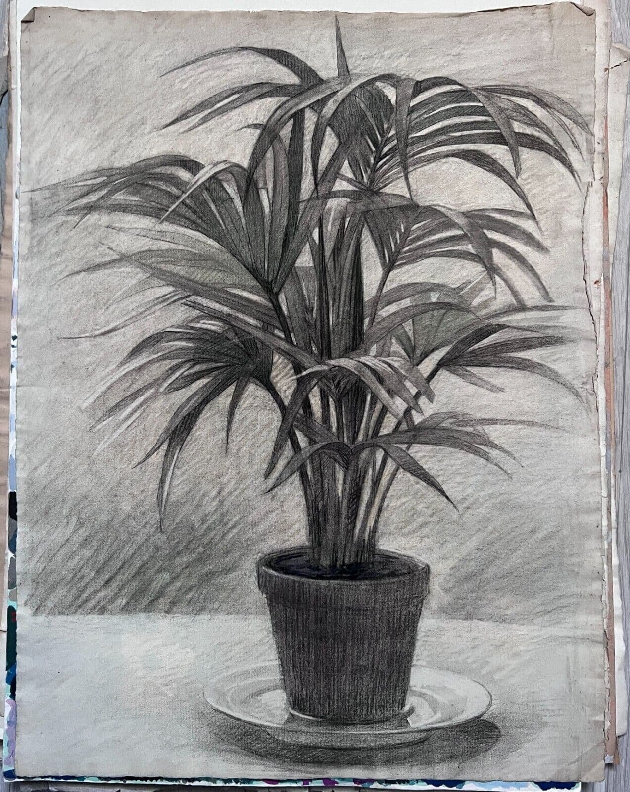 Antique Original Drawing Plants image 1