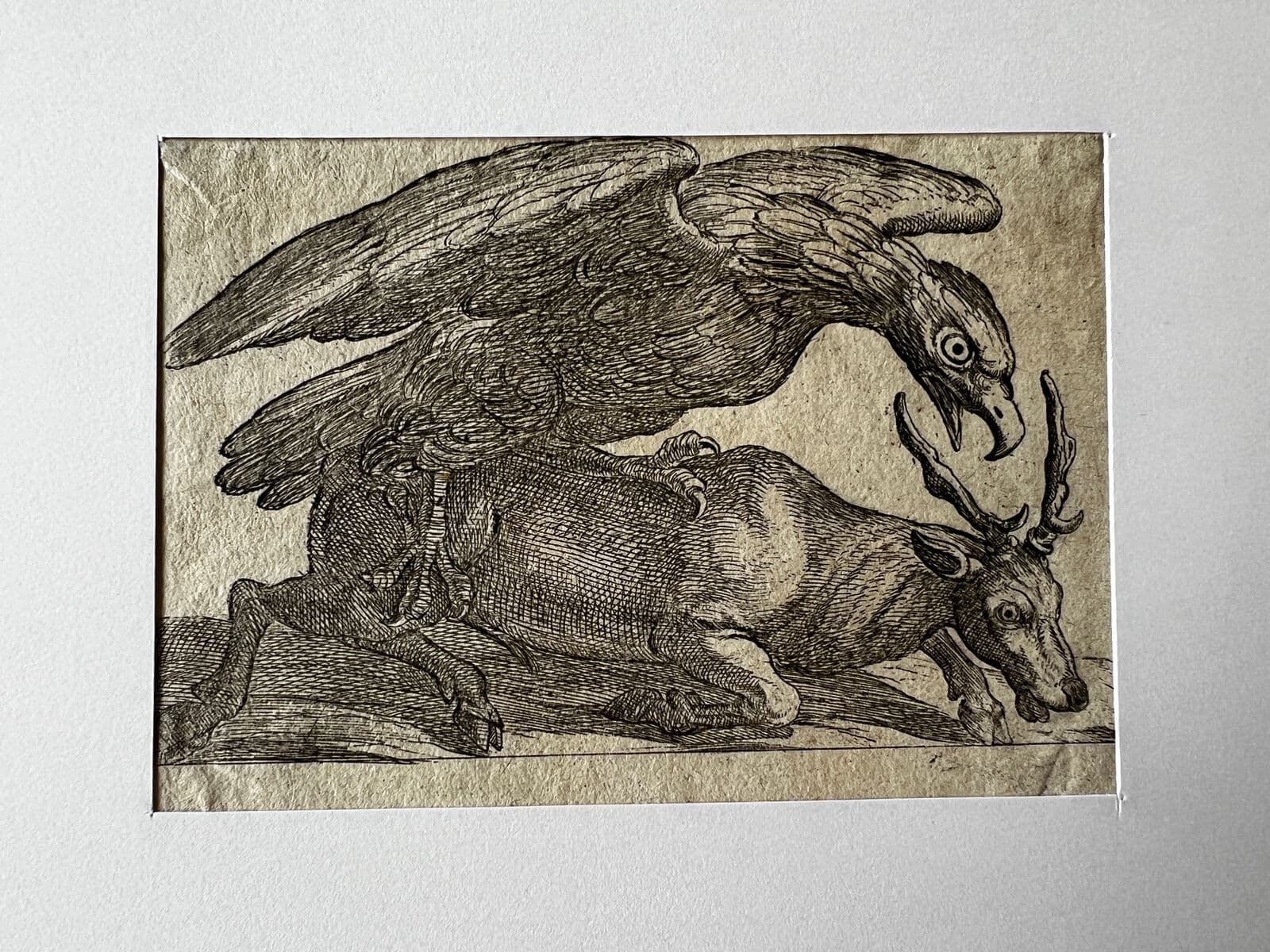 Antique Original Etching 17th century engraving, Eagle and Dear image 2