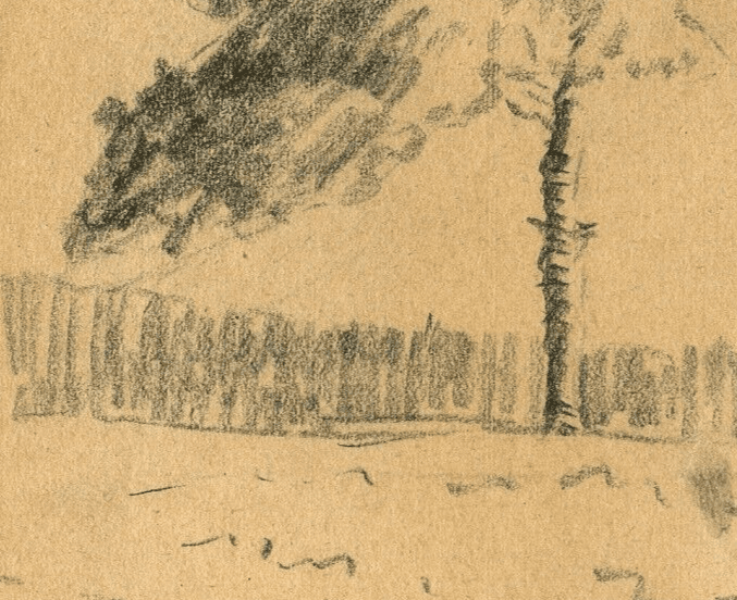 Antique Original Pencil Drawing Tree, Vegetation, Landscape, Leaves c. 1900 image 2