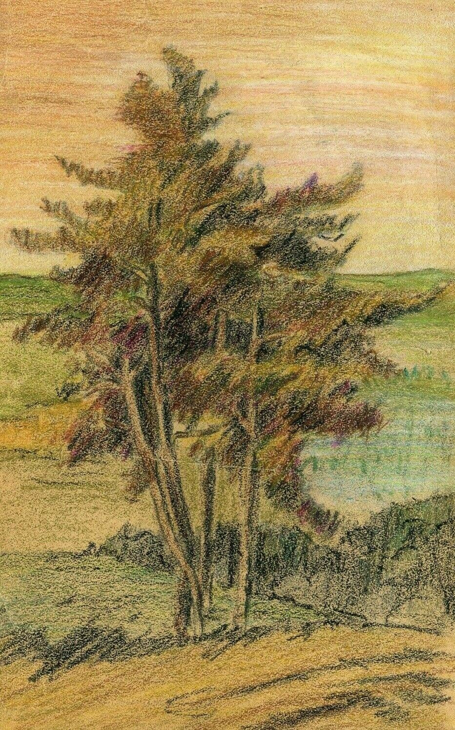Drawing Tree, Vegetation, Landscape, Leaves