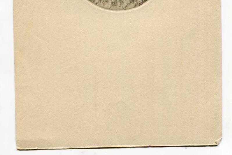 Antique Dog Portrait Illustration - St. Bernard Head Study - 19th Century Animal image 7