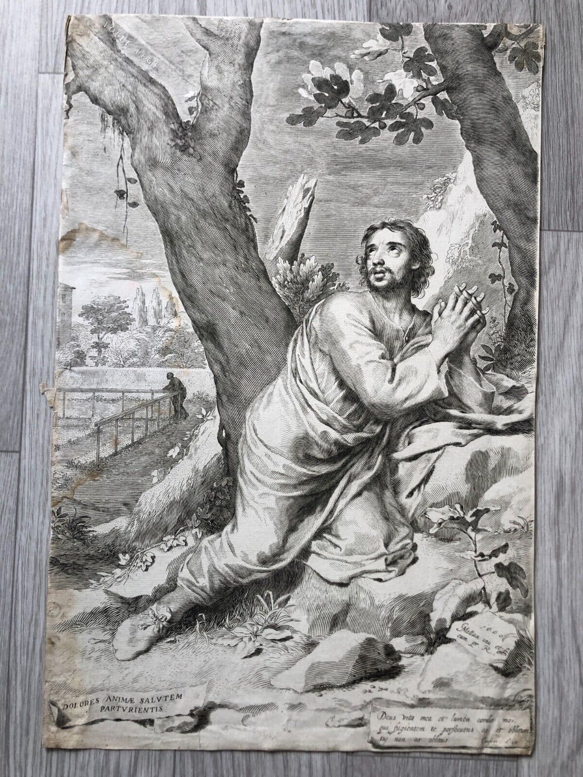 Antique Original Etching Claude MELLAN (1598-1688) Saint Augustin image 6